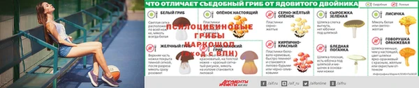 герыч Покачи