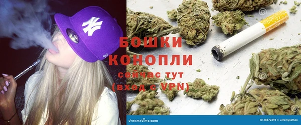 герыч Дубна