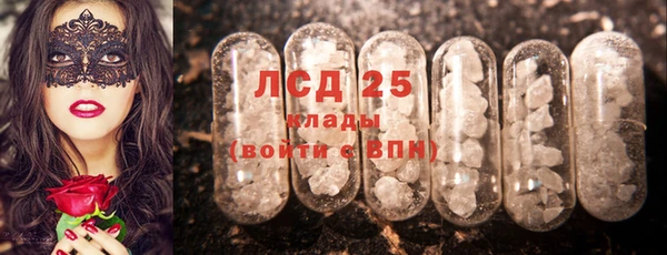 дмт Пересвет