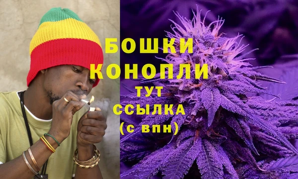 герыч Дубна