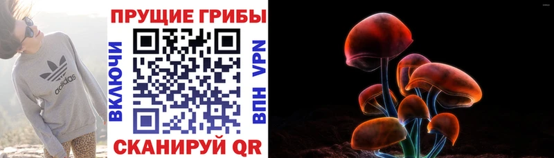 Галлюциногенные грибы мицелий  Сергач 